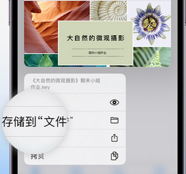 黄石apple维修中心分享iPhone文件应用中存储和找到下载文件