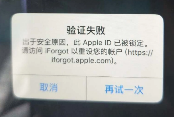 黄石iPhone维修分享iPhone上正常登录或使用AppleID怎么办 