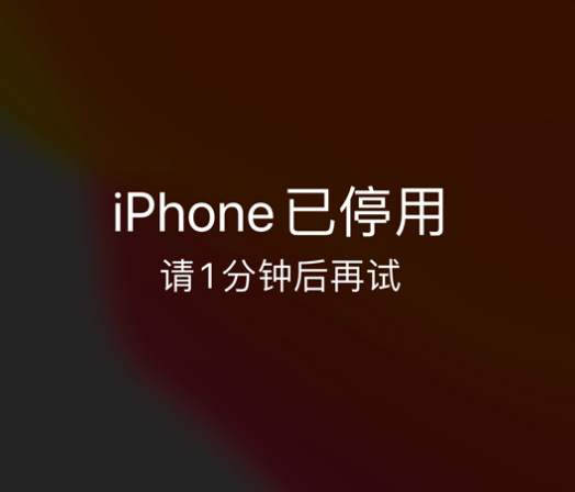 黄石苹果手机维修分享:iPhone 显示“不可用”或“已停用”怎么办？还能保留数据吗？ 