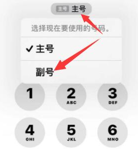 黄石苹果14维修店分享iPhone 14 Pro Max使用副卡打电话的方法 