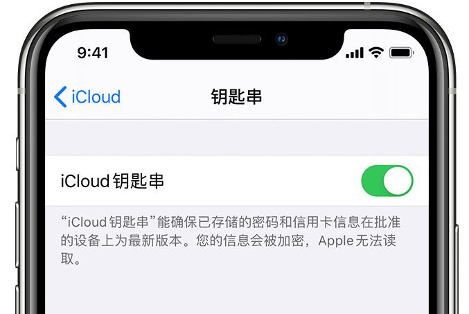 黄石苹果手机维修分享在 iPhone 上开启 iCloud 钥匙串之后会储存哪些信息 