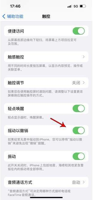 黄石苹果手机维修分享iPhone手机如何设置摇一摇删除文字 